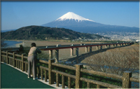 富士山